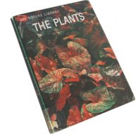 The Plants