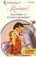 Kovboj k pronajmutí