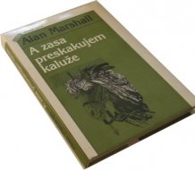 A zasa preskakujem kaluže