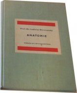 Anatomie