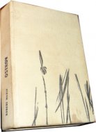 Ostrov