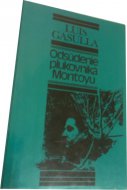 Odsúdenie plukovníka Montoyu