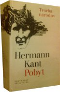 Pobyt