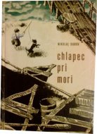 Chlapec pri mori