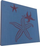 Divy oceánů