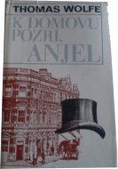 K domovu pozri, anjel