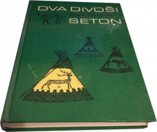 Dva divoši