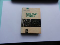 Môj syn vrah ?