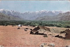 A small nomad encampment near Kabull